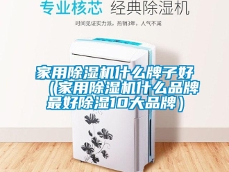 企業(yè)新聞家用除濕機(jī)什么牌子好（家用除濕機(jī)什么品牌最好除濕10大品牌）