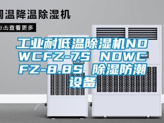 常見問題工業(yè)耐低溫除濕機NDWCFZ-7S NDWCFZ-8.8S 除濕防潮設(shè)備