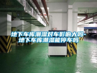 企業(yè)新聞地下車庫(kù)潮濕對(duì)車影響大嗎-地下車庫(kù)潮濕能停車嗎