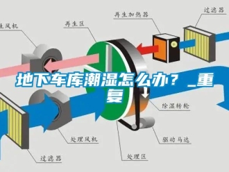 企業(yè)新聞地下車庫(kù)潮濕怎么辦？_重復(fù)