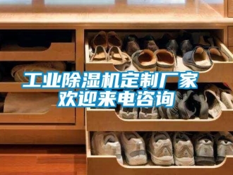 企業(yè)新聞工業(yè)除濕機定制廠家 歡迎來電咨詢