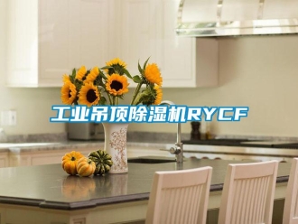 常見問題工業(yè)吊頂除濕機RYCF