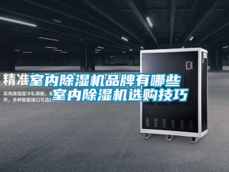 企業(yè)新聞室內(nèi)除濕機(jī)品牌有哪些   室內(nèi)除濕機(jī)選購技巧