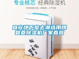 企業(yè)新聞宜賓地下室去潮選用牌碧菱除濕機(jī)廠家直營(yíng)