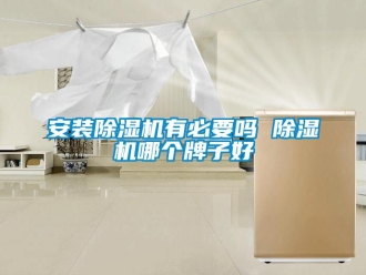 企業(yè)新聞安裝除濕機有必要嗎 除濕機哪個牌子好