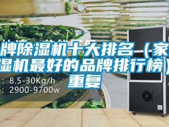 企業(yè)新聞品牌除濕機十大排名（家用除濕機最好的品牌排行榜）_重復(fù)