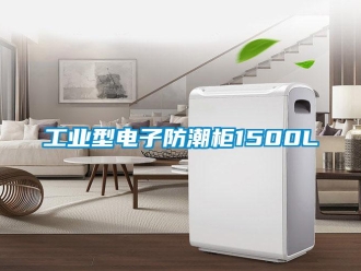 常見問題工業(yè)型電子防潮柜1500L