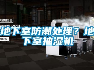 企業(yè)新聞地下室防潮處理？地下室抽濕機(jī)