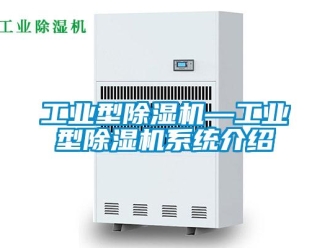 常見問題工業(yè)型除濕機—工業(yè)型除濕機系統(tǒng)介紹