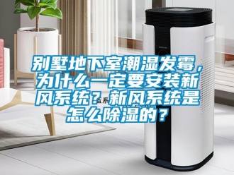 企業(yè)新聞別墅地下室潮濕發(fā)霉，為什么一定要安裝新風(fēng)系統(tǒng)？新風(fēng)系統(tǒng)是怎么除濕的？