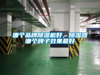 企業(yè)新聞哪個(gè)品牌除濕機(jī)好，除濕器哪個(gè)牌子效果最好