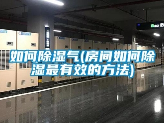 企業(yè)新聞如何除濕氣(房間如何除濕最有效的方法)