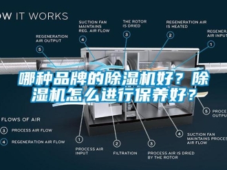 企業(yè)新聞哪種品牌的除濕機好？除濕機怎么進行保養(yǎng)好？