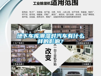 企業(yè)新聞地下車庫(kù)潮濕對(duì)汽車有什么樣的影響？