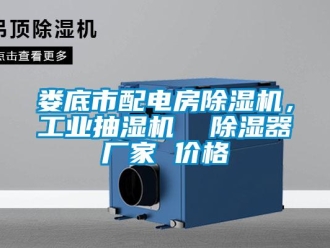 企業(yè)新聞婁底市配電房除濕機(jī)，工業(yè)抽濕機(jī)  除濕器廠家 價(jià)格