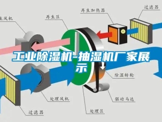 企業(yè)新聞工業(yè)除濕機-抽濕機廠家展示