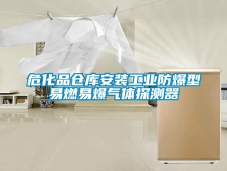 企業(yè)新聞?；穫}庫安裝工業(yè)防爆型易燃易爆氣體探測器